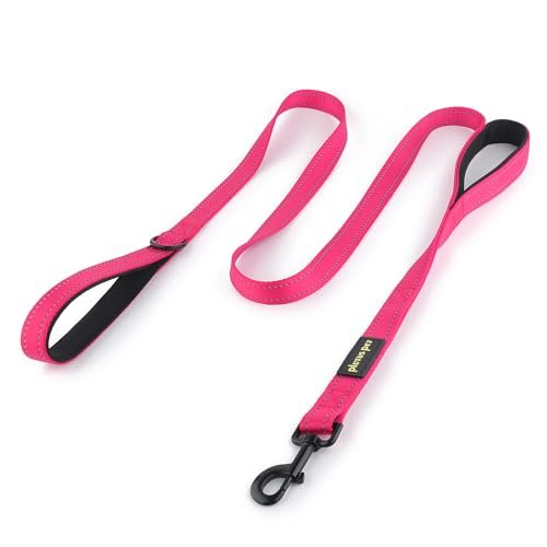Plutus Pet Double Handle Dog