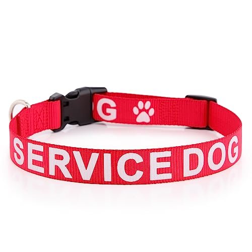 Plutus Pet Service Dog Collar,Printed in Large Letters on Nylon Webbing,Prevents Accidents by Warning Others of Your Dog in Advance,Two Colors,Four Sizes,Neck 10