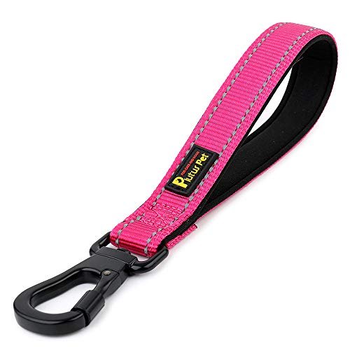 PLUTUS PET 10 Inch Short