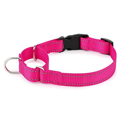 PLUTUS PET Reflective Martingale Collar