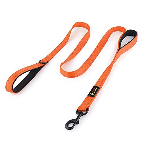 Plutus Pet Dog Leash 6ft