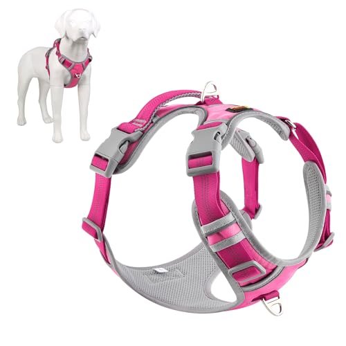 Plutus Pet No Pull Dog