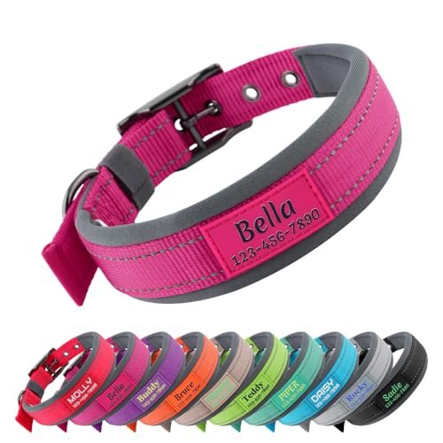 Personalized Dog Collar with Name and Phone Number