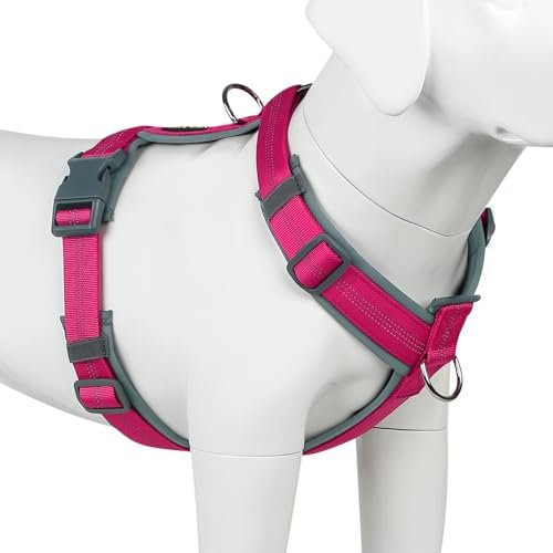 Plutus Pet No Pull Dog